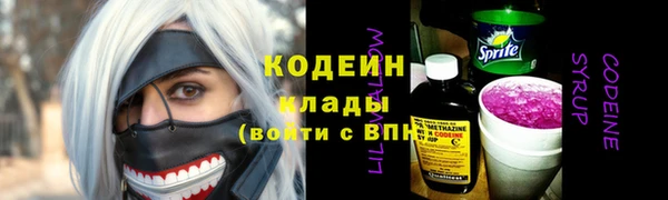 индика Приозерск