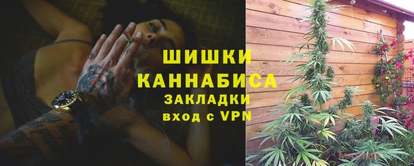 индика Приозерск