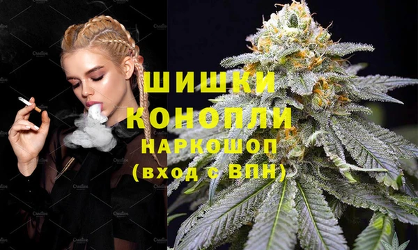 индика Приозерск