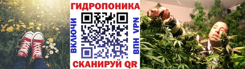 Конопля MAZAR Аша